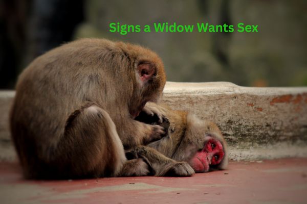 Signs a Widow Wants Sex