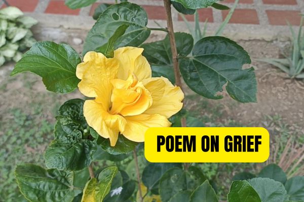 Poem on Grief